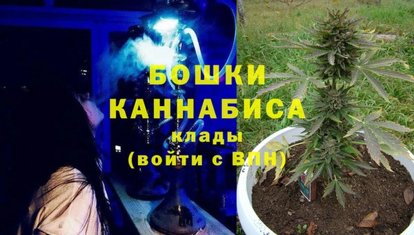 гидра Алексеевка